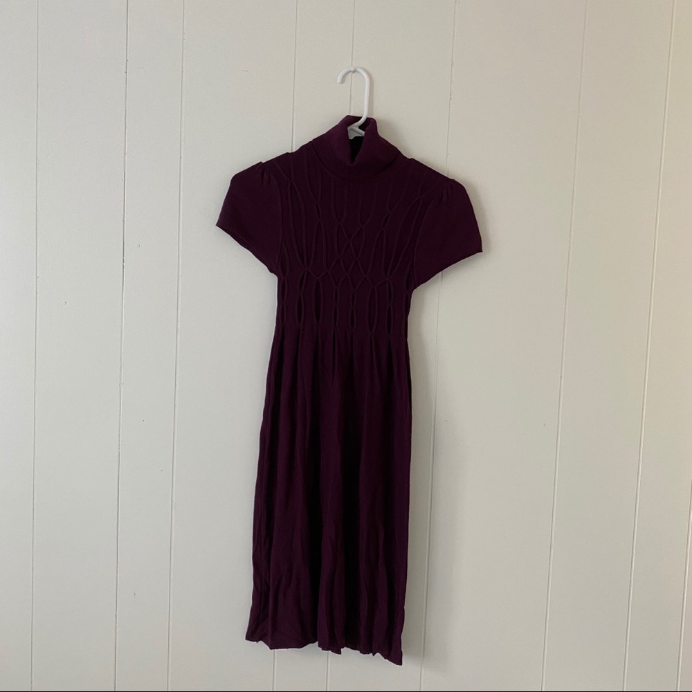 Turtle neck sweater dress